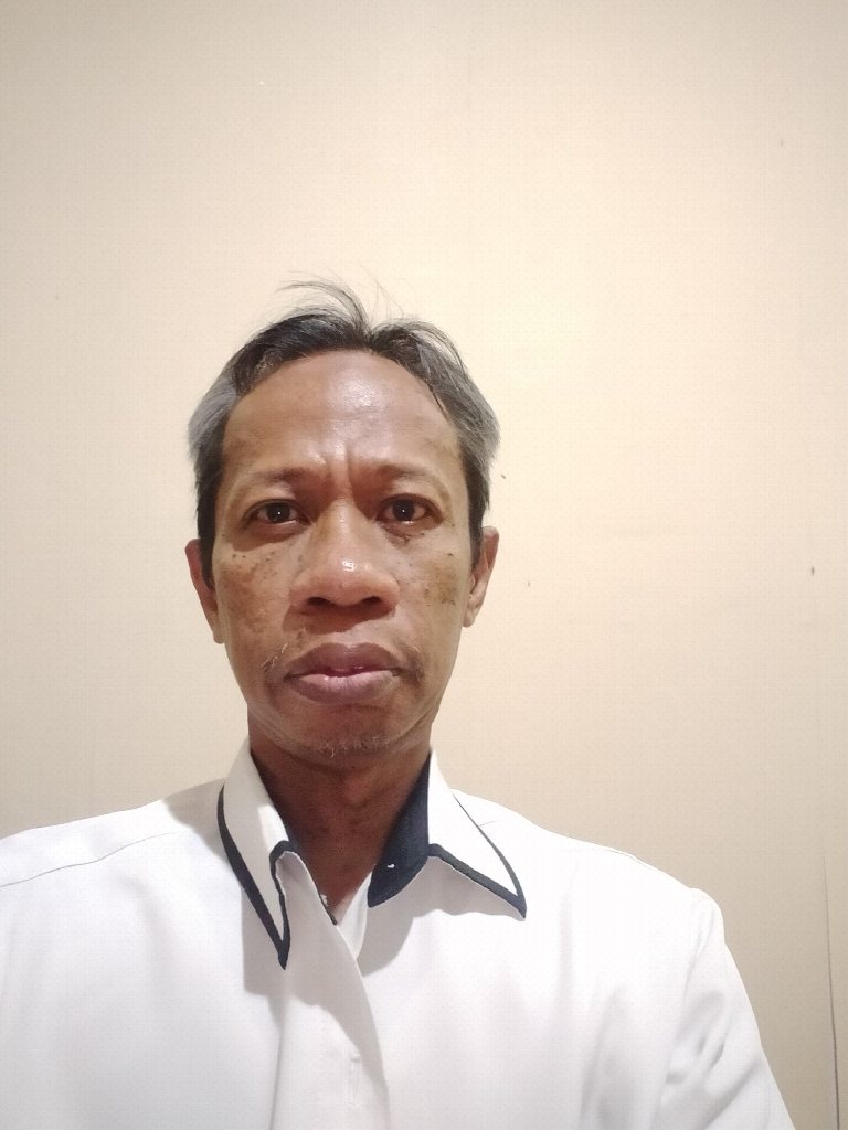 Ir. Syarifuddin N, M.Sc., Ph.D.